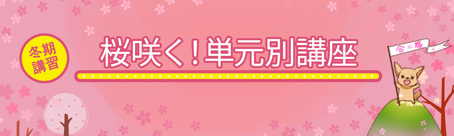 看護国試対策総まとめ講座画像